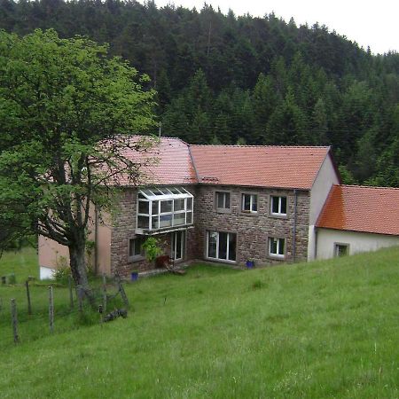 Gite Gretel De La Ferme Du Schneeberg Wangenbourg-Engenthal Zewnętrze zdjęcie