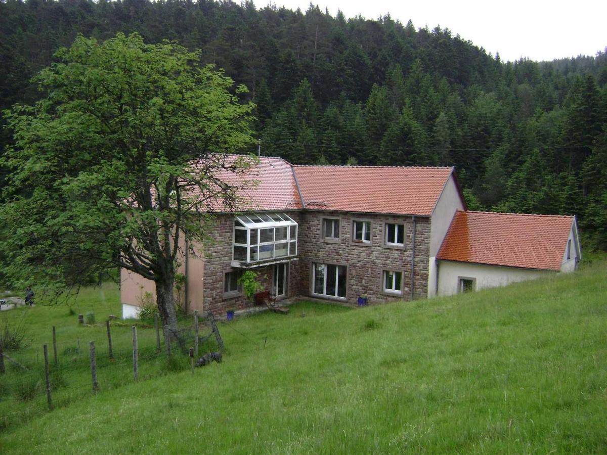 Gite Gretel De La Ferme Du Schneeberg Wangenbourg-Engenthal Zewnętrze zdjęcie