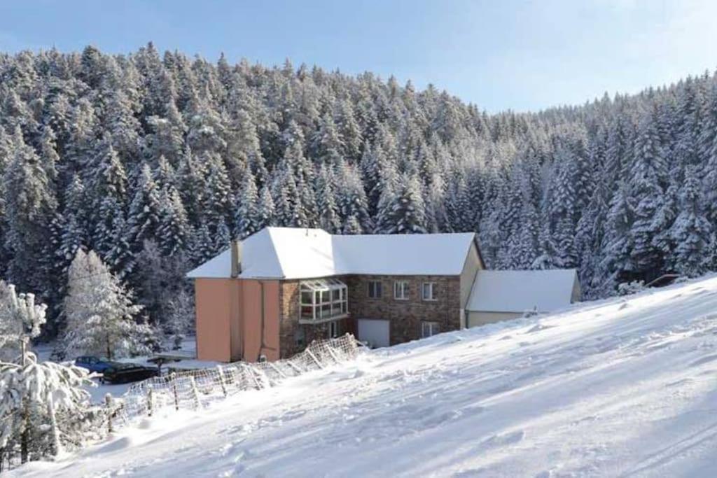 Gite Gretel De La Ferme Du Schneeberg Wangenbourg-Engenthal Zewnętrze zdjęcie