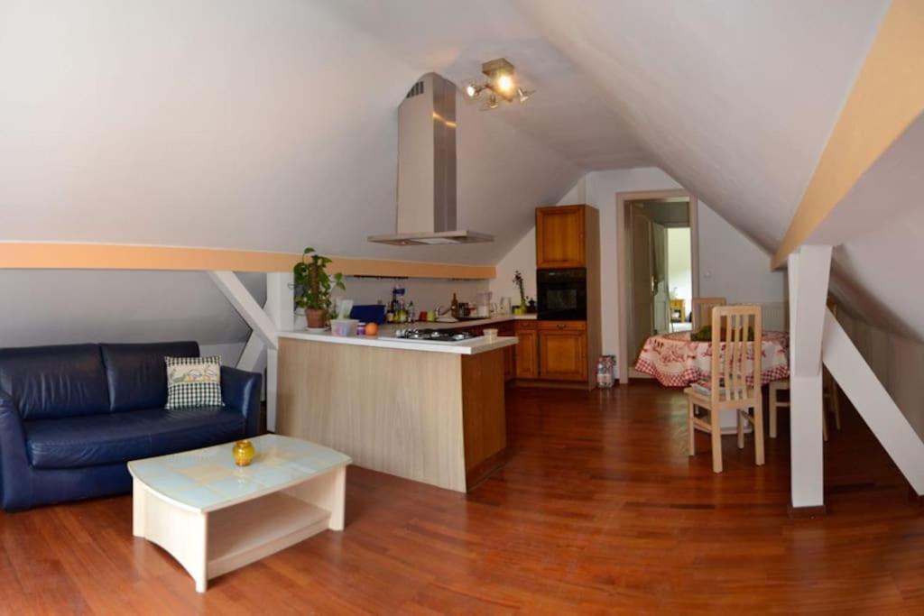 Gite Gretel De La Ferme Du Schneeberg Wangenbourg-Engenthal Zewnętrze zdjęcie
