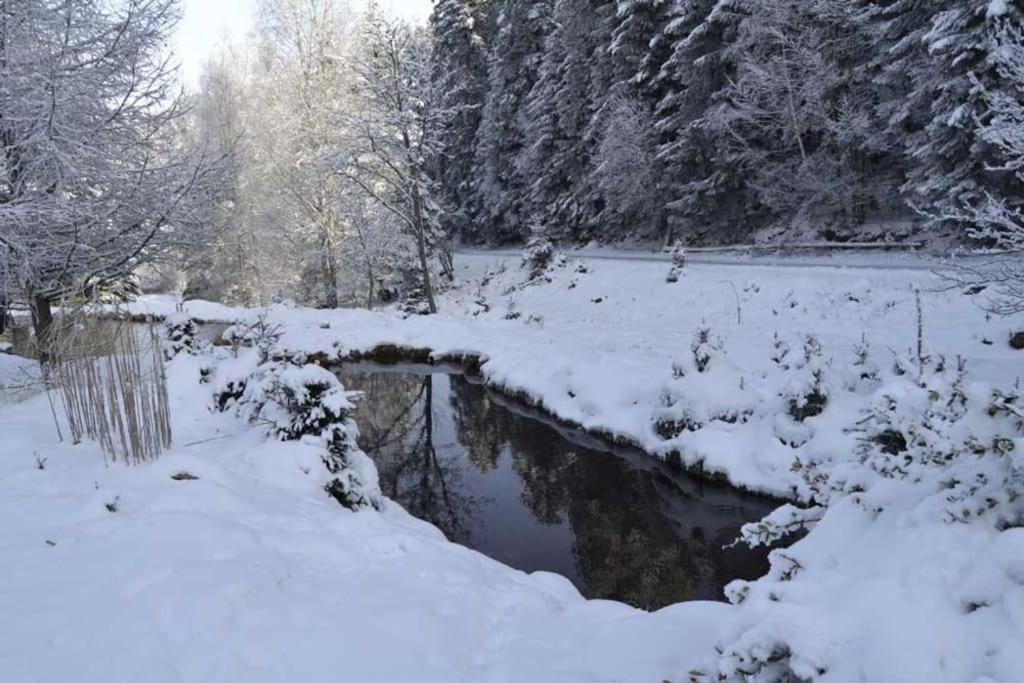 Gite Gretel De La Ferme Du Schneeberg Wangenbourg-Engenthal Zewnętrze zdjęcie