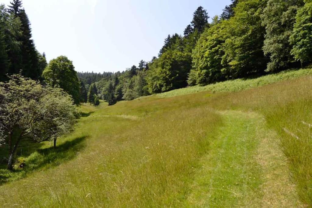 Gite Gretel De La Ferme Du Schneeberg Wangenbourg-Engenthal Zewnętrze zdjęcie
