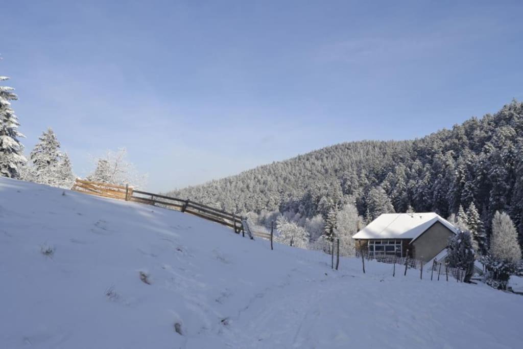 Gite Gretel De La Ferme Du Schneeberg Wangenbourg-Engenthal Zewnętrze zdjęcie
